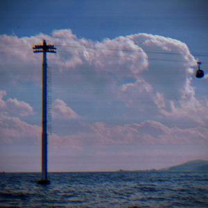 临沂皮包厂家用小狗营销导航
