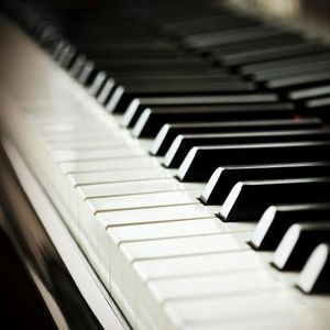 临沂皮包厂家用小狗营销导航
