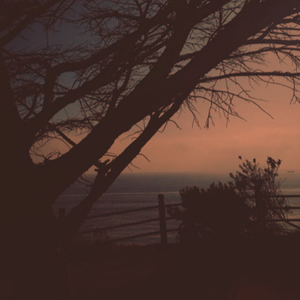 临沂皮包厂家用小狗营销导航
