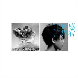 临沂皮包厂家用小狗营销导航
