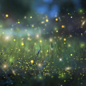 临沂皮包厂家用小狗营销导航
