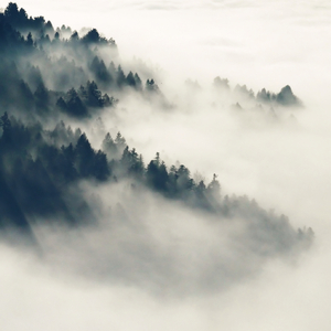 临沂皮包厂家用小狗营销导航
